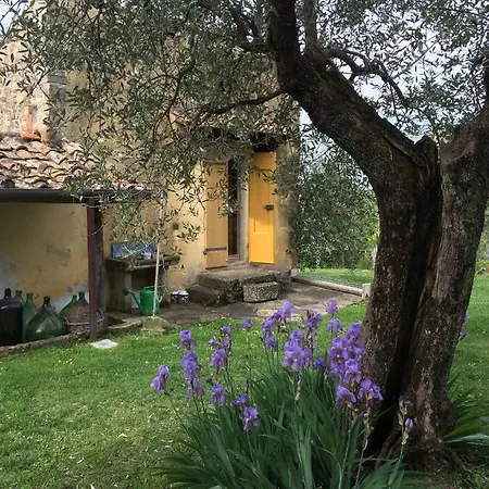 Holiday home Tuscany Homes