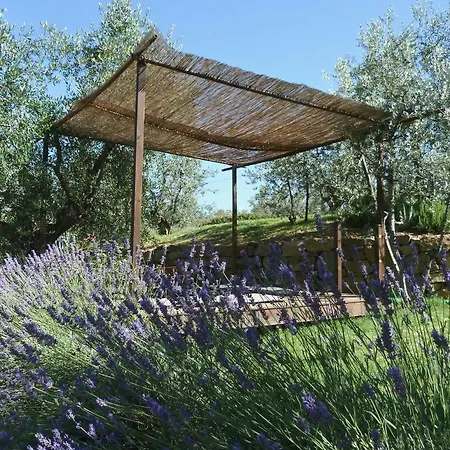 Tuscany Homes * Settignano